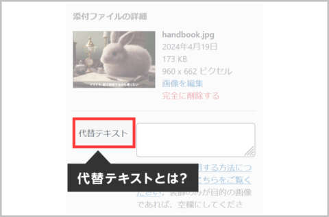 画像の代替テキスト（alt属性）とは？